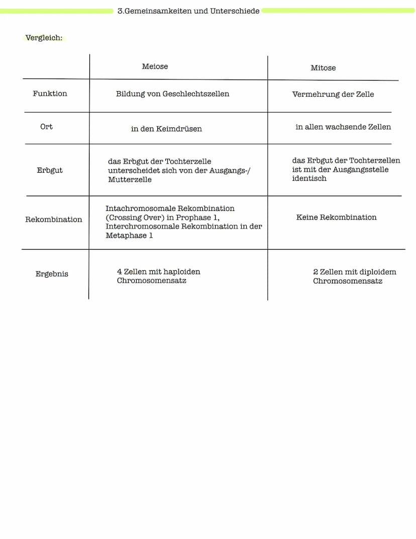 Klausur Genetik
1. Grundbegriffe der Genetik
Humangenetik
2. Mitose und Meiose
3.Gemeinsamkeiten und Unterschiede (Mitose & Meiose)-> Inter-