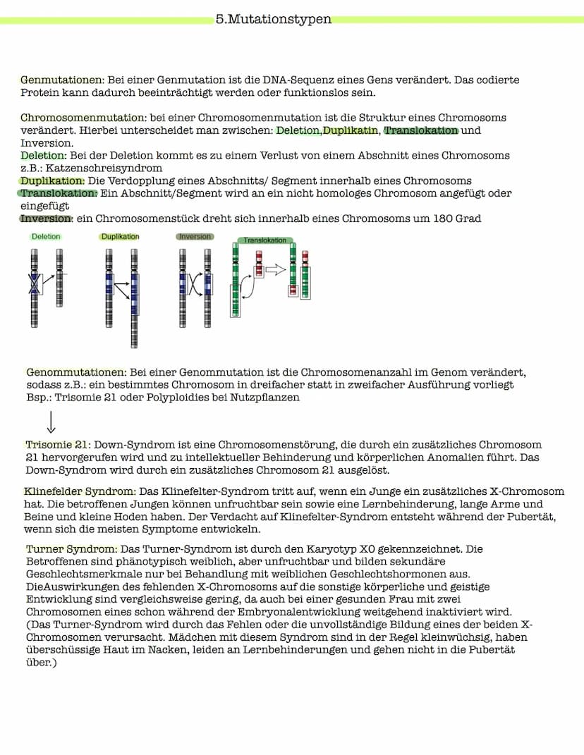 Klausur Genetik
1. Grundbegriffe der Genetik
Humangenetik
2. Mitose und Meiose
3.Gemeinsamkeiten und Unterschiede (Mitose & Meiose)-> Inter-