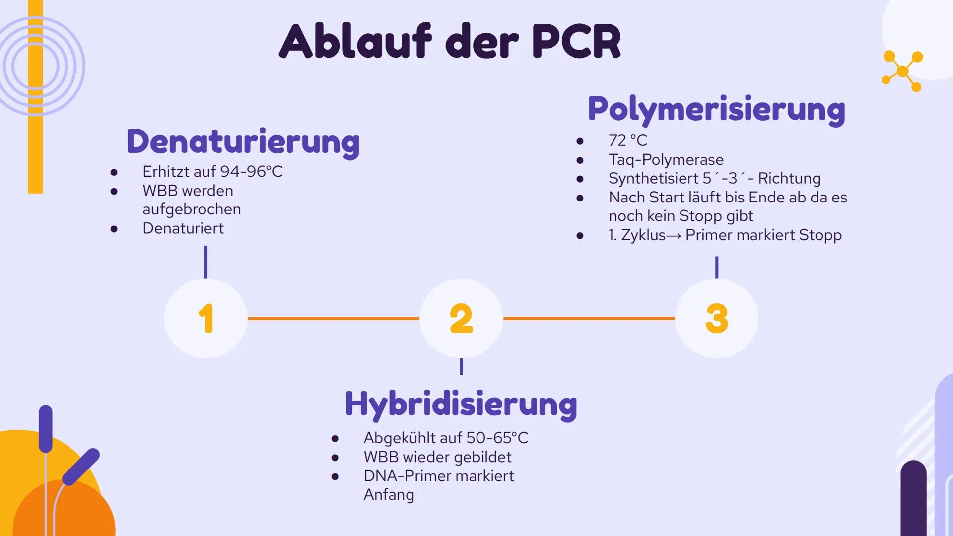 PCR und
Gelelektrophorese
DIXX
Präsentation von Emma und Lisa 01 PCR
Allgemein
Erfinder
Ablauf
-
-
-
Inhalt
Anwendungsbereiche
Beispiel
02 G