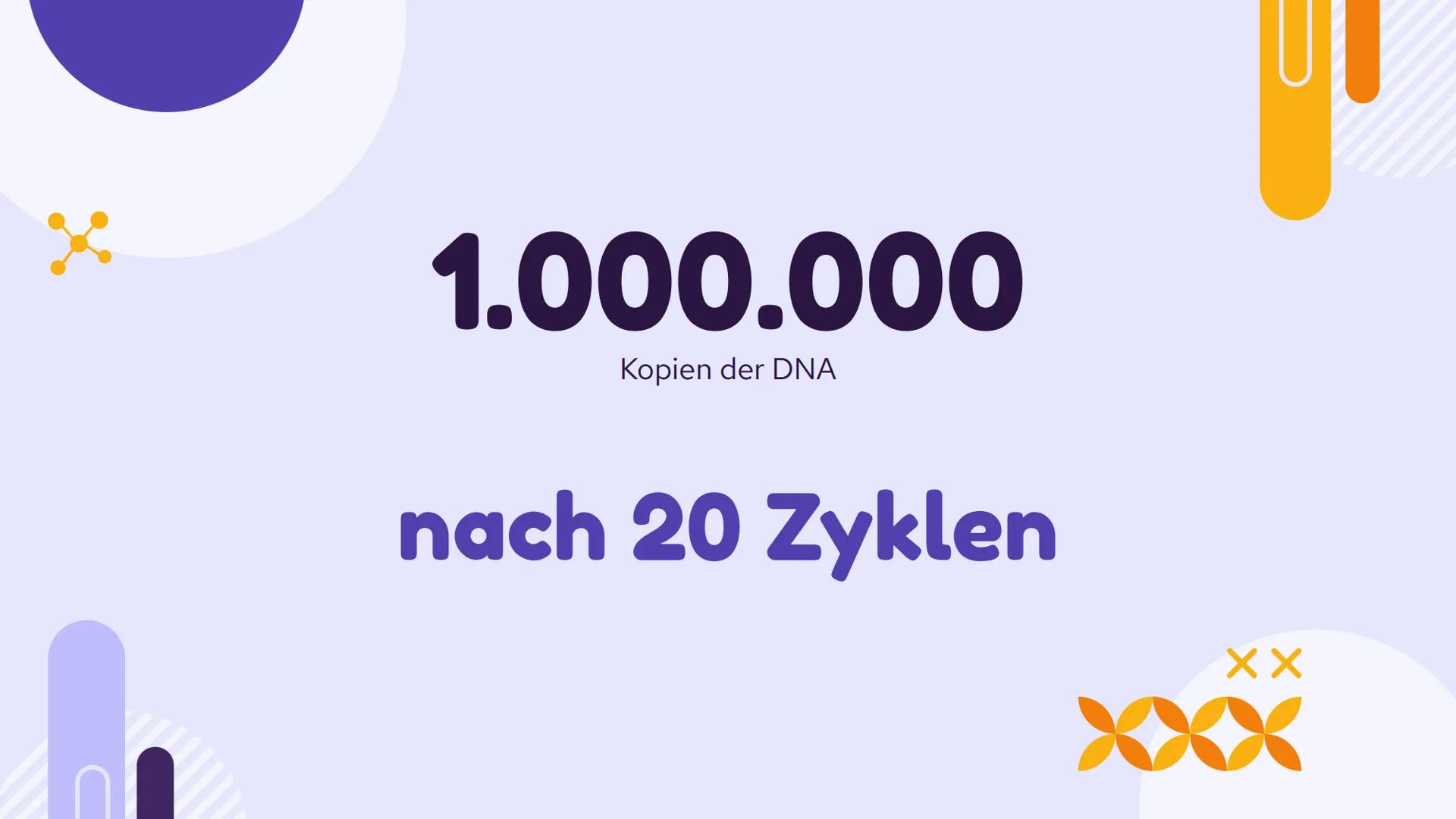 PCR und
Gelelektrophorese
DIXX
Präsentation von Emma und Lisa 01 PCR
Allgemein
Erfinder
Ablauf
-
-
-
Inhalt
Anwendungsbereiche
Beispiel
02 G