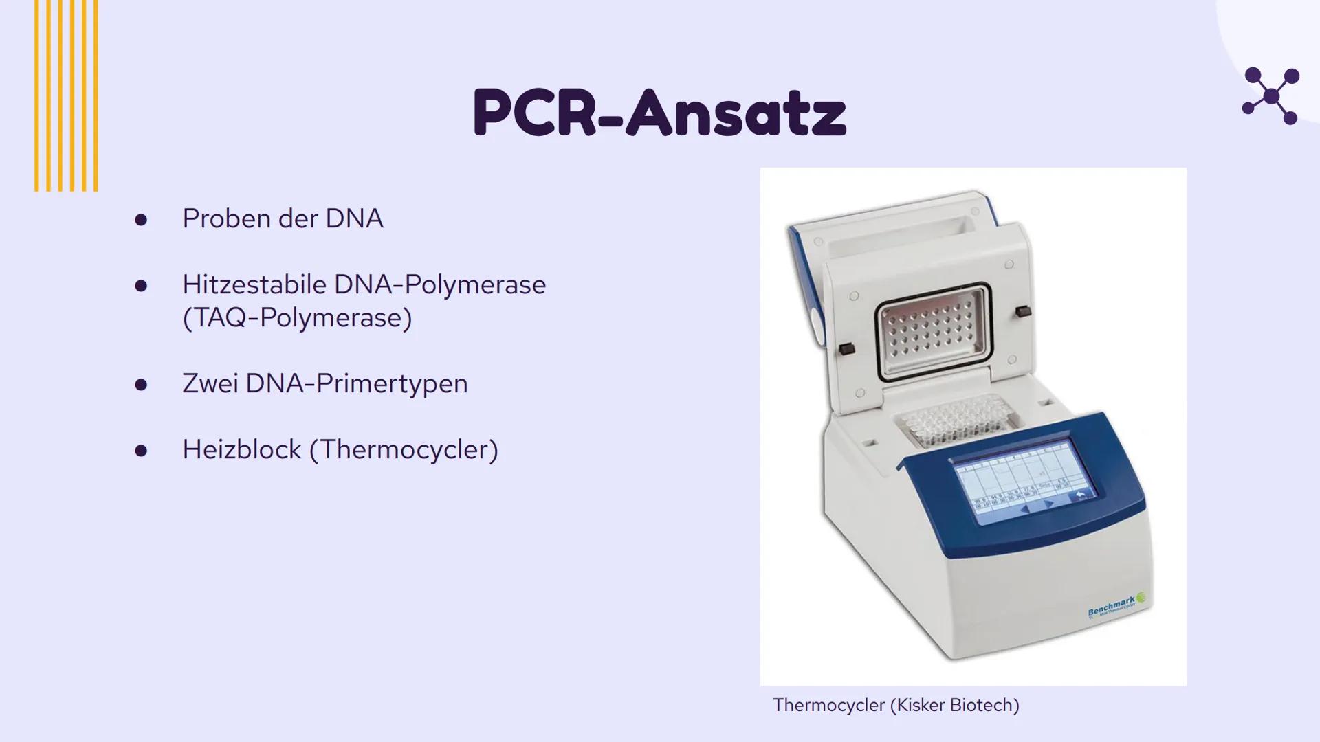 PCR und
Gelelektrophorese
DIXX
Präsentation von Emma und Lisa 01 PCR
Allgemein
Erfinder
Ablauf
-
-
-
Inhalt
Anwendungsbereiche
Beispiel
02 G