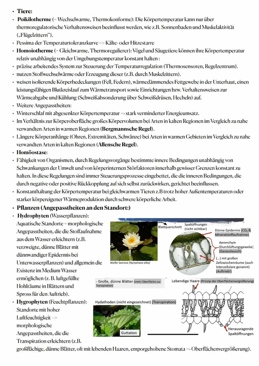 Ökologie:
Wechselwirkungen zwischen belebter und unbelebter Umwelt
Ökosysteme sind offene, bis zu einem gewissen Grad zur Selbstregulation f