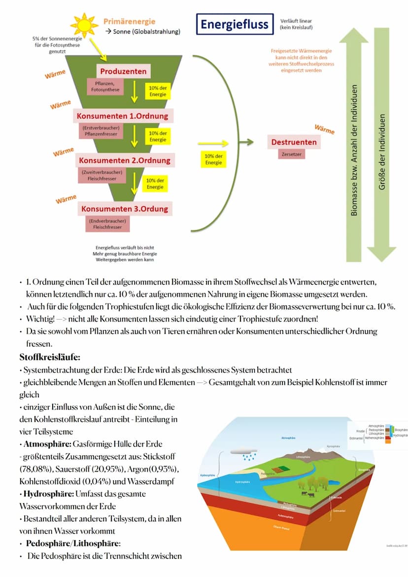 Ökologie:
Wechselwirkungen zwischen belebter und unbelebter Umwelt
Ökosysteme sind offene, bis zu einem gewissen Grad zur Selbstregulation f
