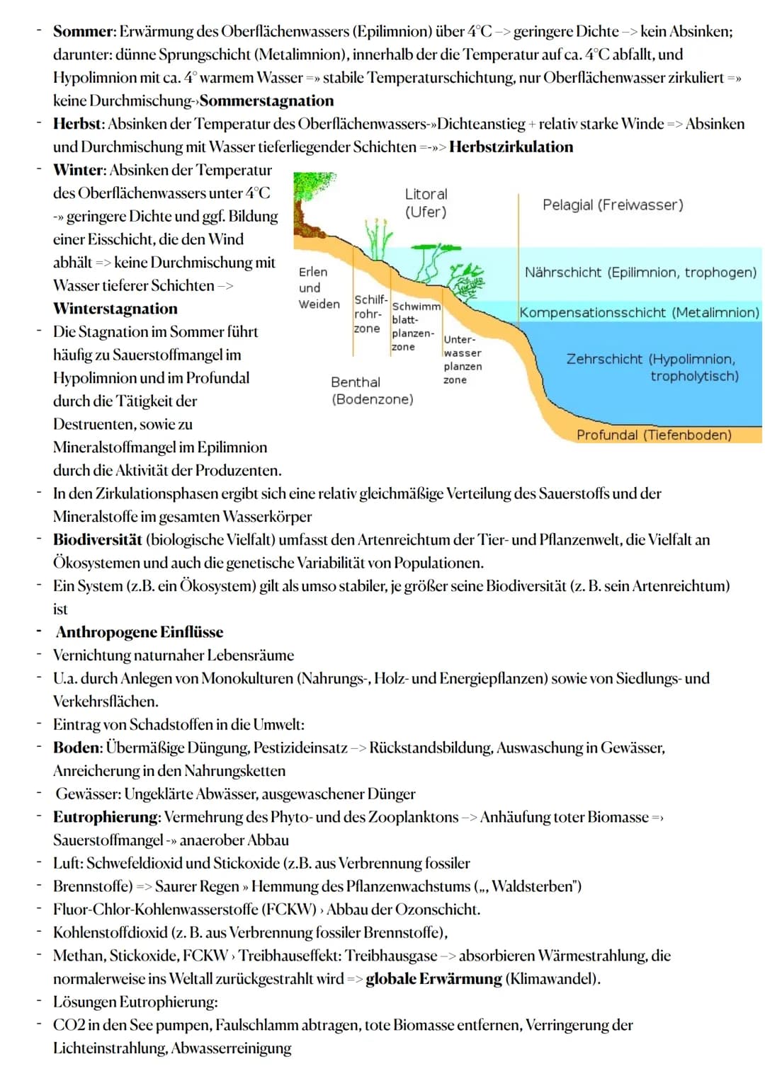 Ökologie:
Wechselwirkungen zwischen belebter und unbelebter Umwelt
Ökosysteme sind offene, bis zu einem gewissen Grad zur Selbstregulation f