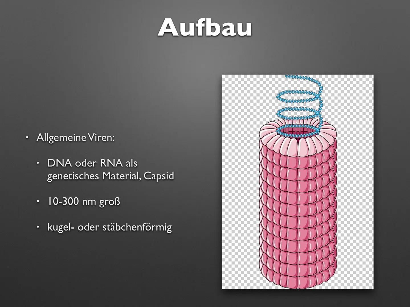 Imb
Biologie LK
Viren
sali
OTOT OF Imb
Biologie LK
Viren
sali
OTOT OF .
Definition
Aufbau
Allgemeine Viren
T-Phagen
• Retrovirus: Influenza

