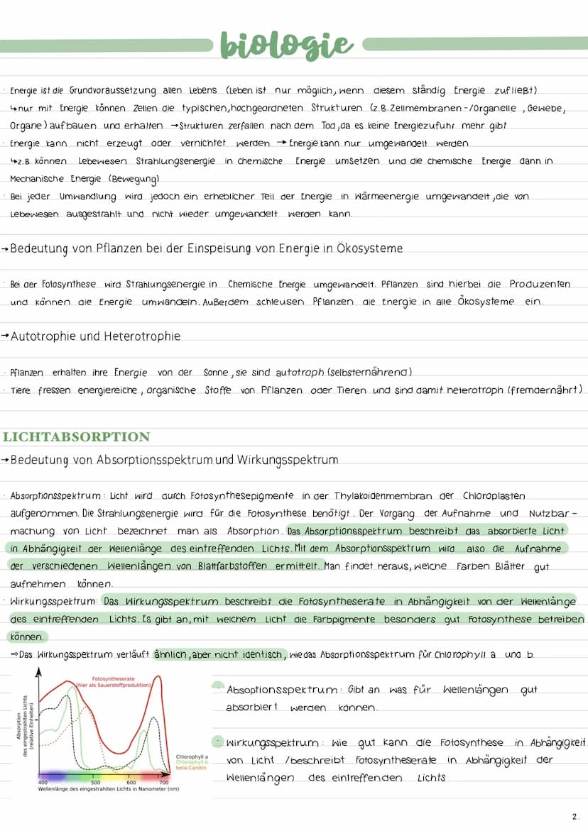 ALLGEMEINES
→Ort der Fotosynthese (Chloroplastenaufbau)
→Gesamtgleichung der Fotosynthese
Lichtabhängige Reaktion:
12 H₂O + 12 NADP+ 18 ADP 