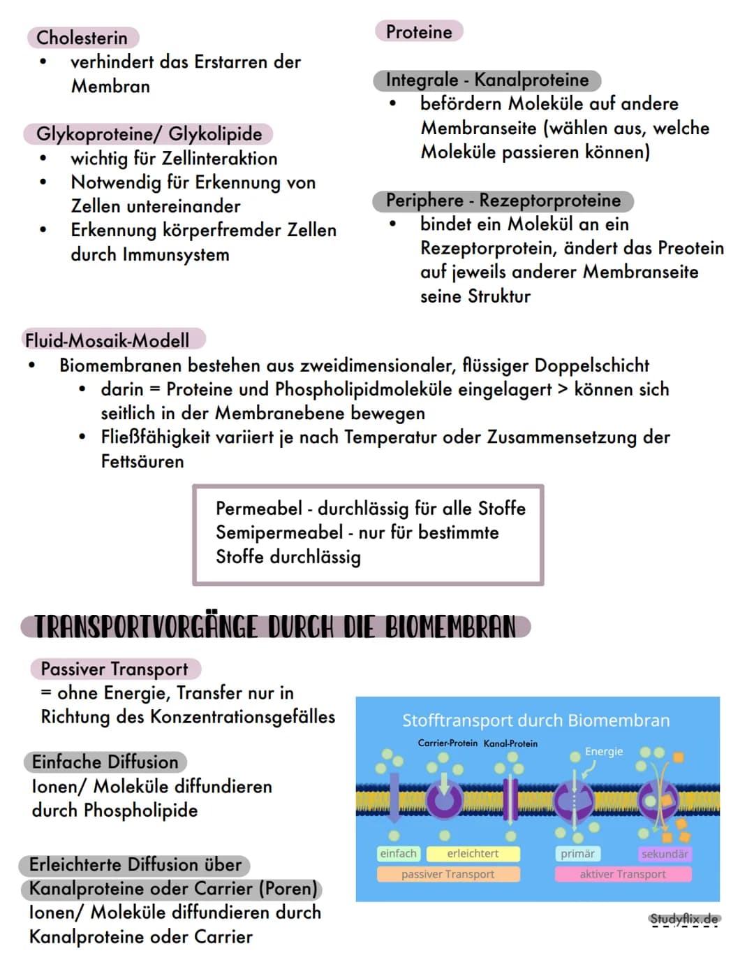AUFBAU
●
●
Kanalprotein
●
Cholesterin
Glycolipid
FUNKTIONEN
Globuläres Protein
2000
Die Biomembran
Peripheres Protein
BESTANDTEILE
Membranli