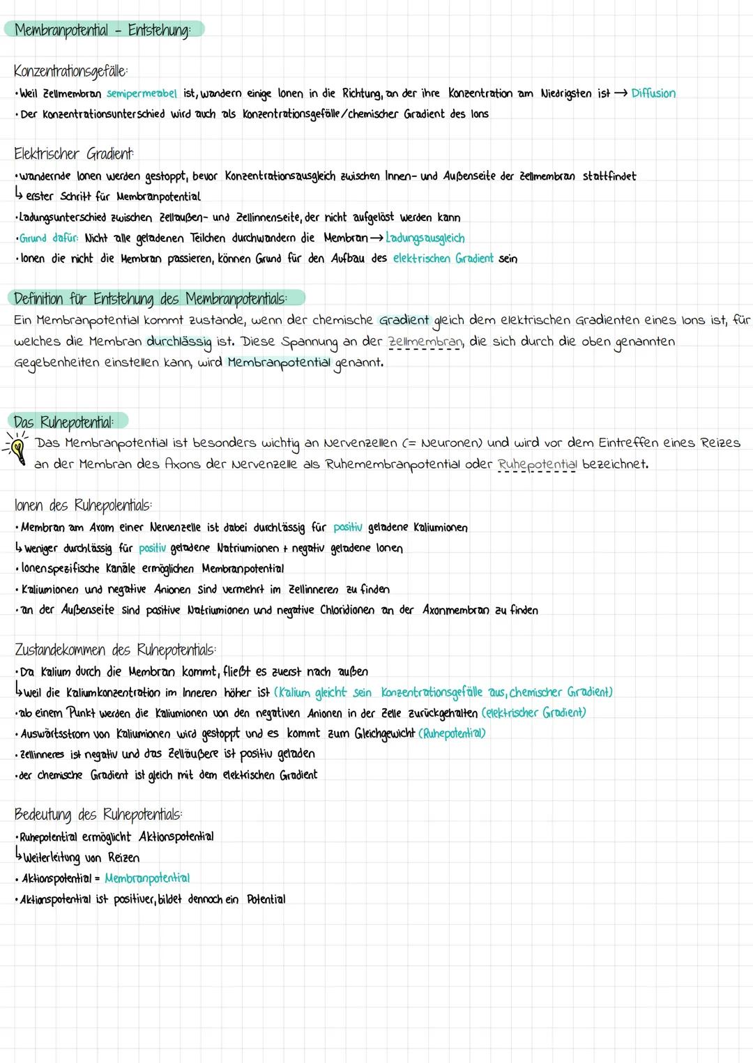 Membranpotential
Die Barriere für das Membranpotential:
Barriere in der Zelle bildet Zellmembran
•Zellmembran ist wichtig für Aufkommen eine