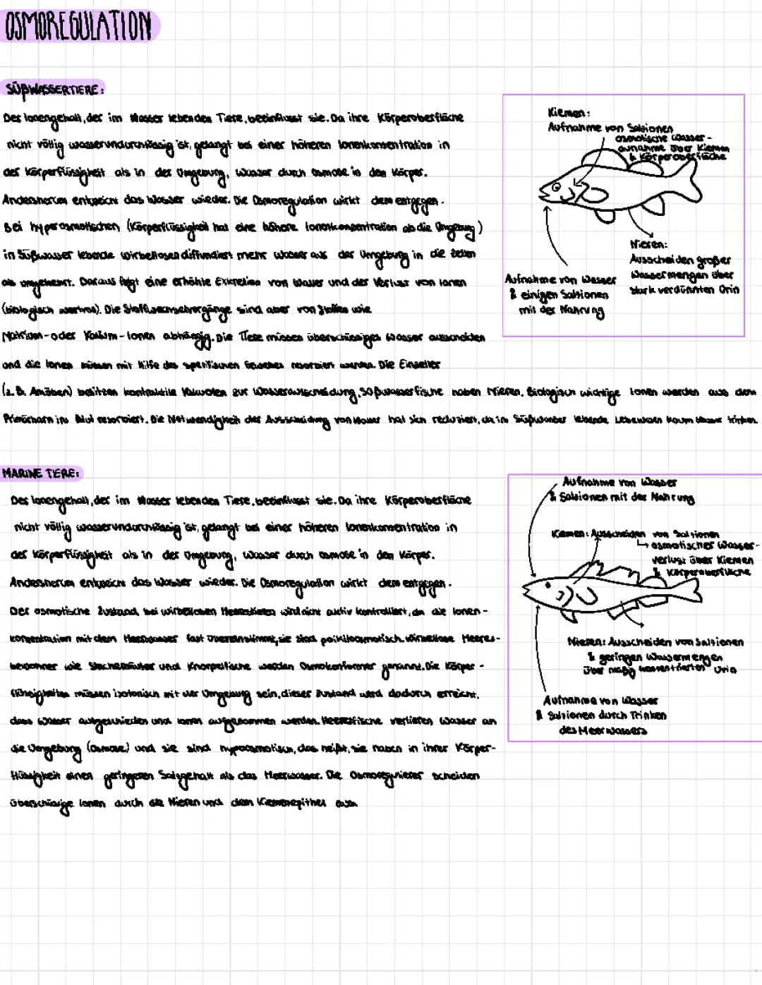 Osmoregulation