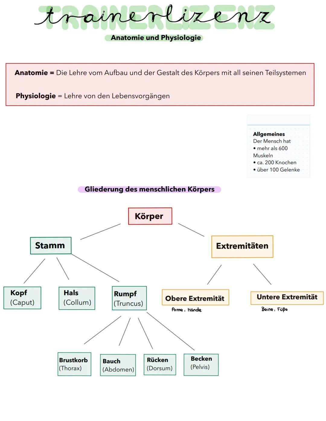 trainerlizenz
Anatomie und Physiologie
Anatomie = Die Lehre vom Aufbau und der Gestalt des Körpers mit all seinen Teilsystemen
Physiologie =