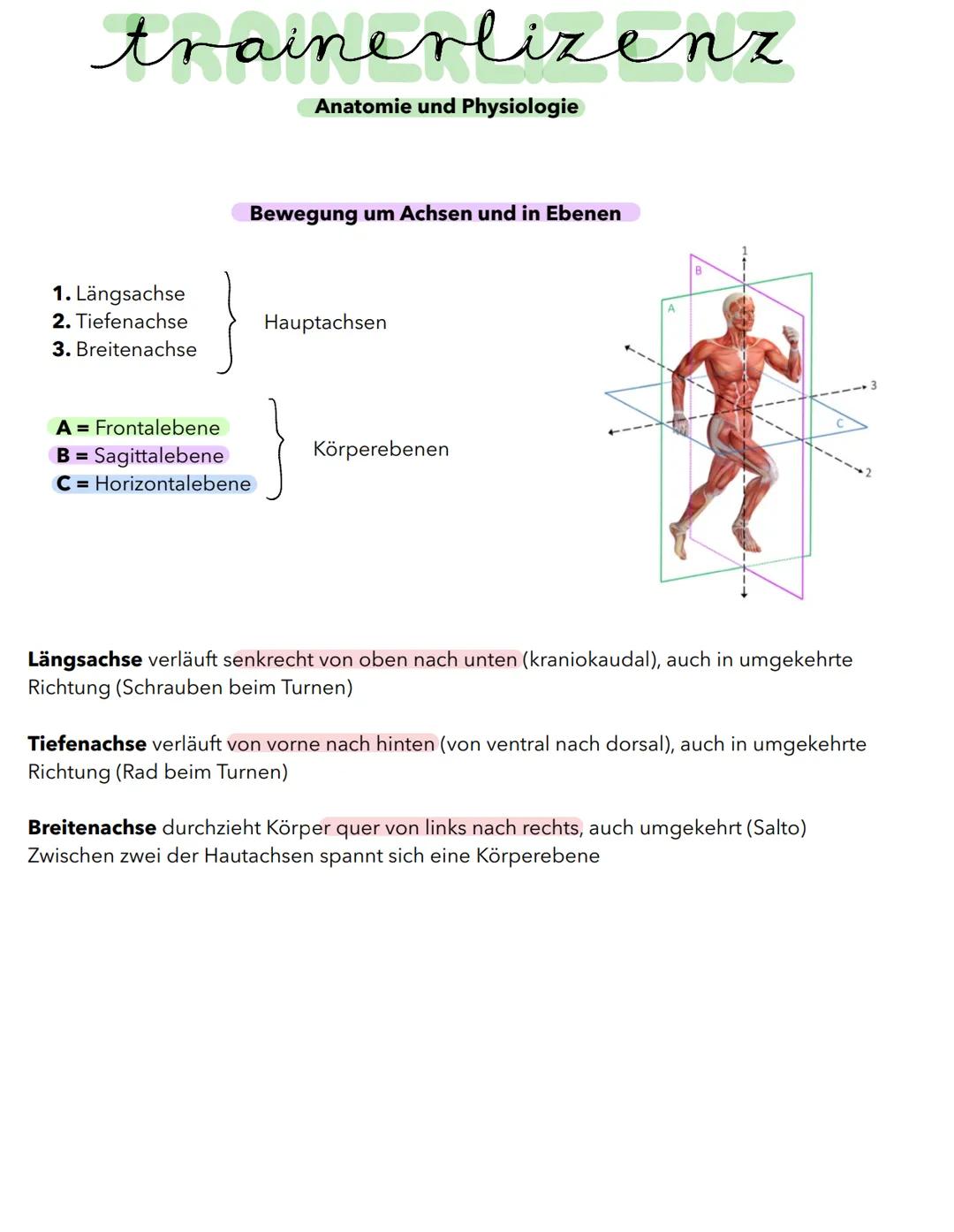 trainerlizenz
Anatomie und Physiologie
Anatomie = Die Lehre vom Aufbau und der Gestalt des Körpers mit all seinen Teilsystemen
Physiologie =