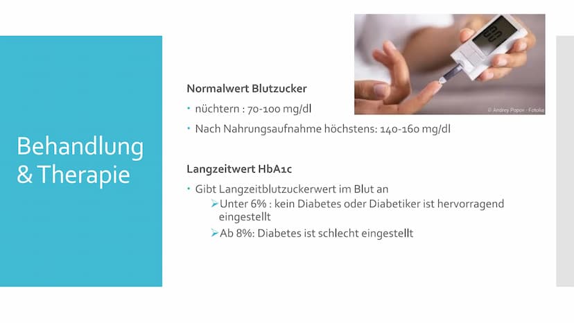 Diabetes
mellitus
Contour TS
18.4.8 Gliederung
Was ist Diabetes?
2.
Die Bauchspeicheldrüse
3. Regulierung des Blutzuckerspiegels im Körper
4