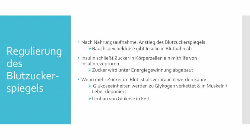 Diabetes
mellitus
Contour TS
18.4.8 Gliederung
Was ist Diabetes?
2.
Die Bauchspeicheldrüse
3. Regulierung des Blutzuckerspiegels im Körper
4
