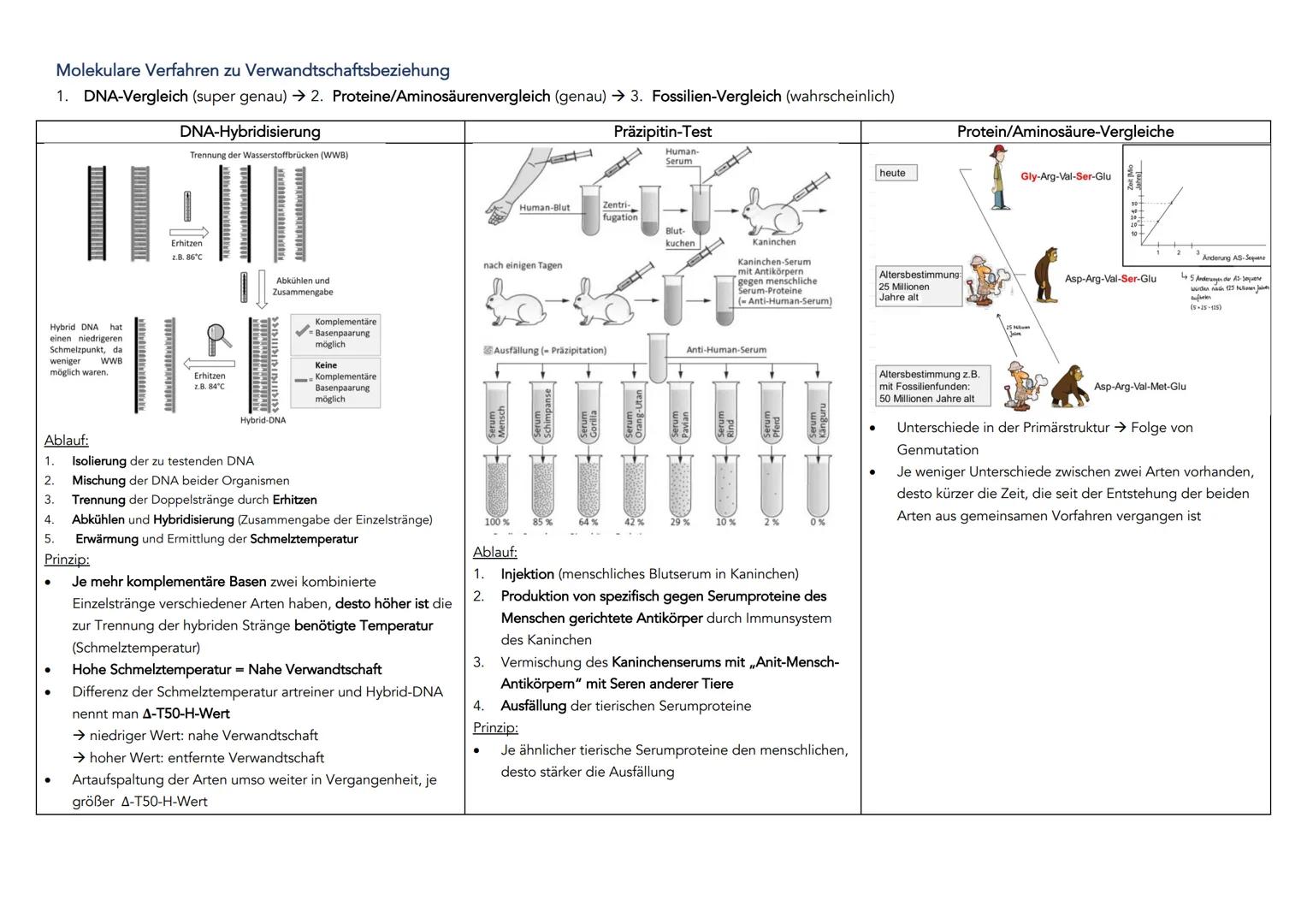 EVOLUTION
Definition: Über die Generation hinweg ablaufende Veränderung der erblichen Merkmale von Populationen.
Systematische Ordnung von L