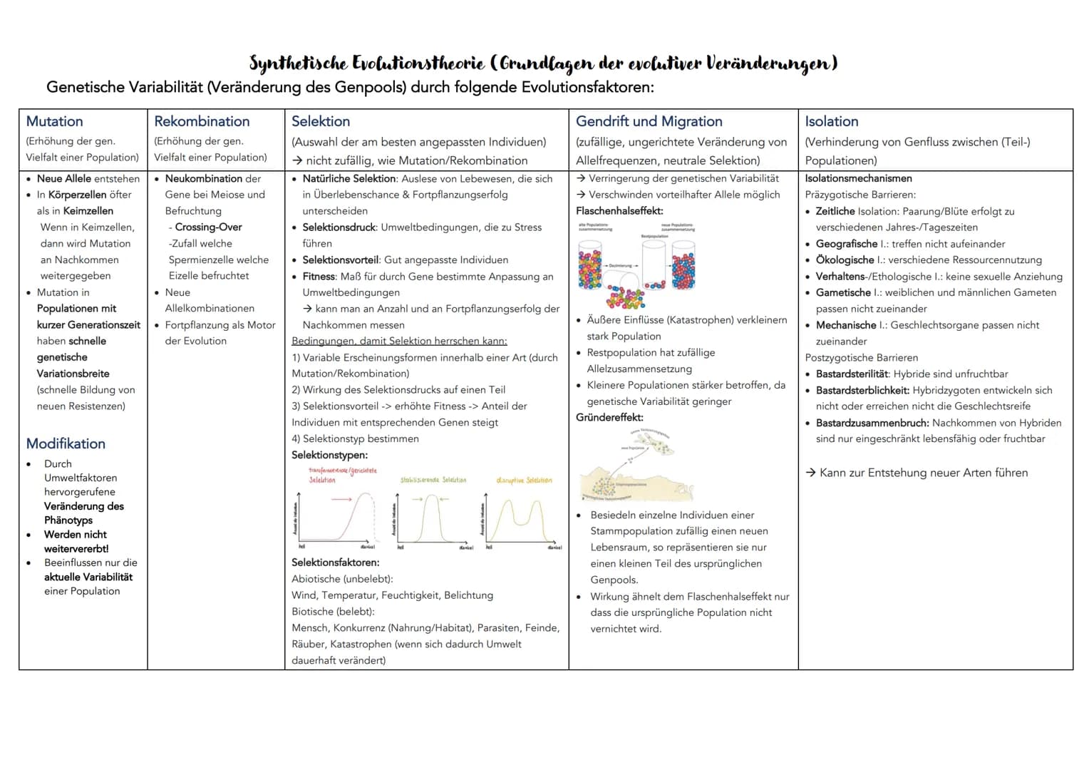 EVOLUTION
Definition: Über die Generation hinweg ablaufende Veränderung der erblichen Merkmale von Populationen.
Systematische Ordnung von L