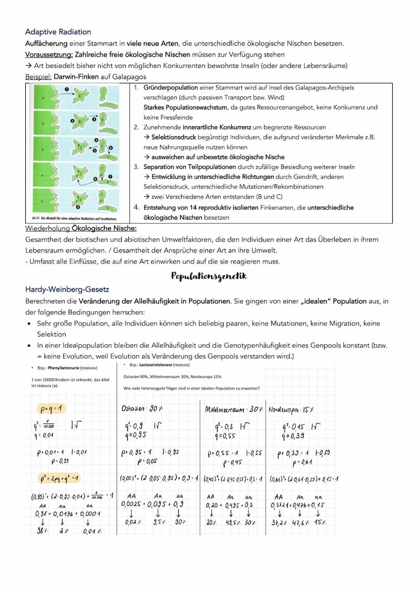 EVOLUTION
Definition: Über die Generation hinweg ablaufende Veränderung der erblichen Merkmale von Populationen.
Systematische Ordnung von L