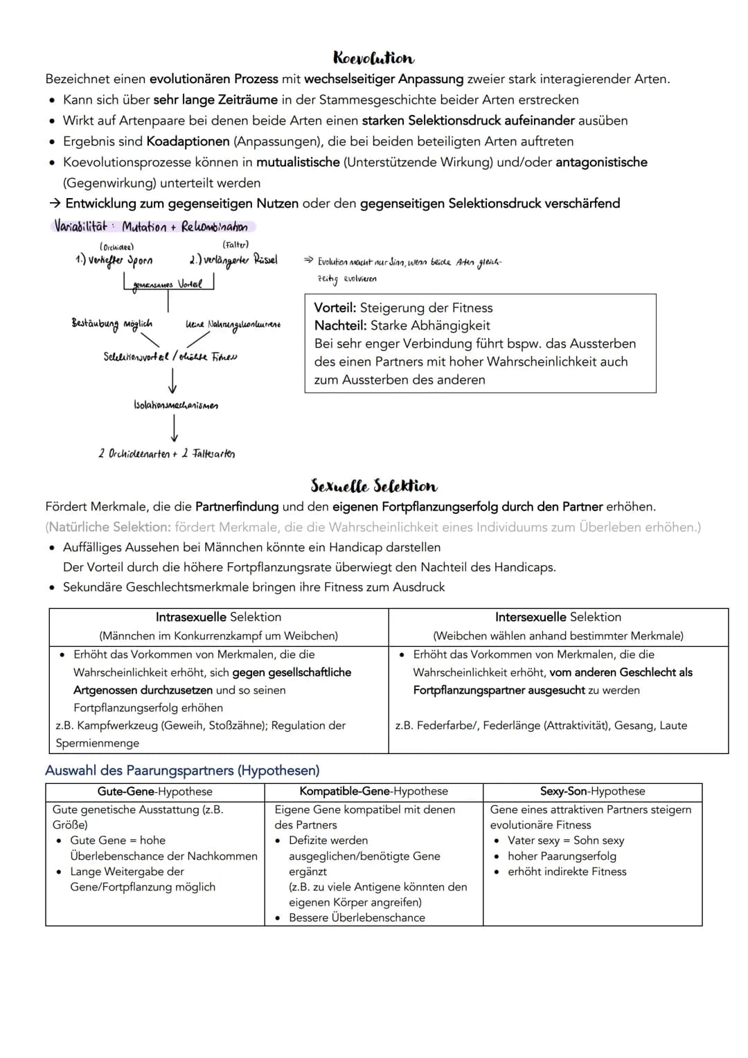 EVOLUTION
Definition: Über die Generation hinweg ablaufende Veränderung der erblichen Merkmale von Populationen.
Systematische Ordnung von L