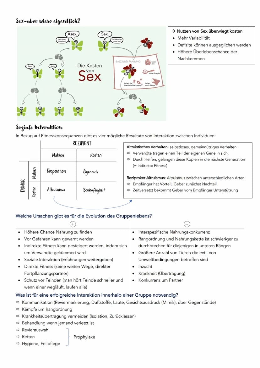 EVOLUTION
Definition: Über die Generation hinweg ablaufende Veränderung der erblichen Merkmale von Populationen.
Systematische Ordnung von L