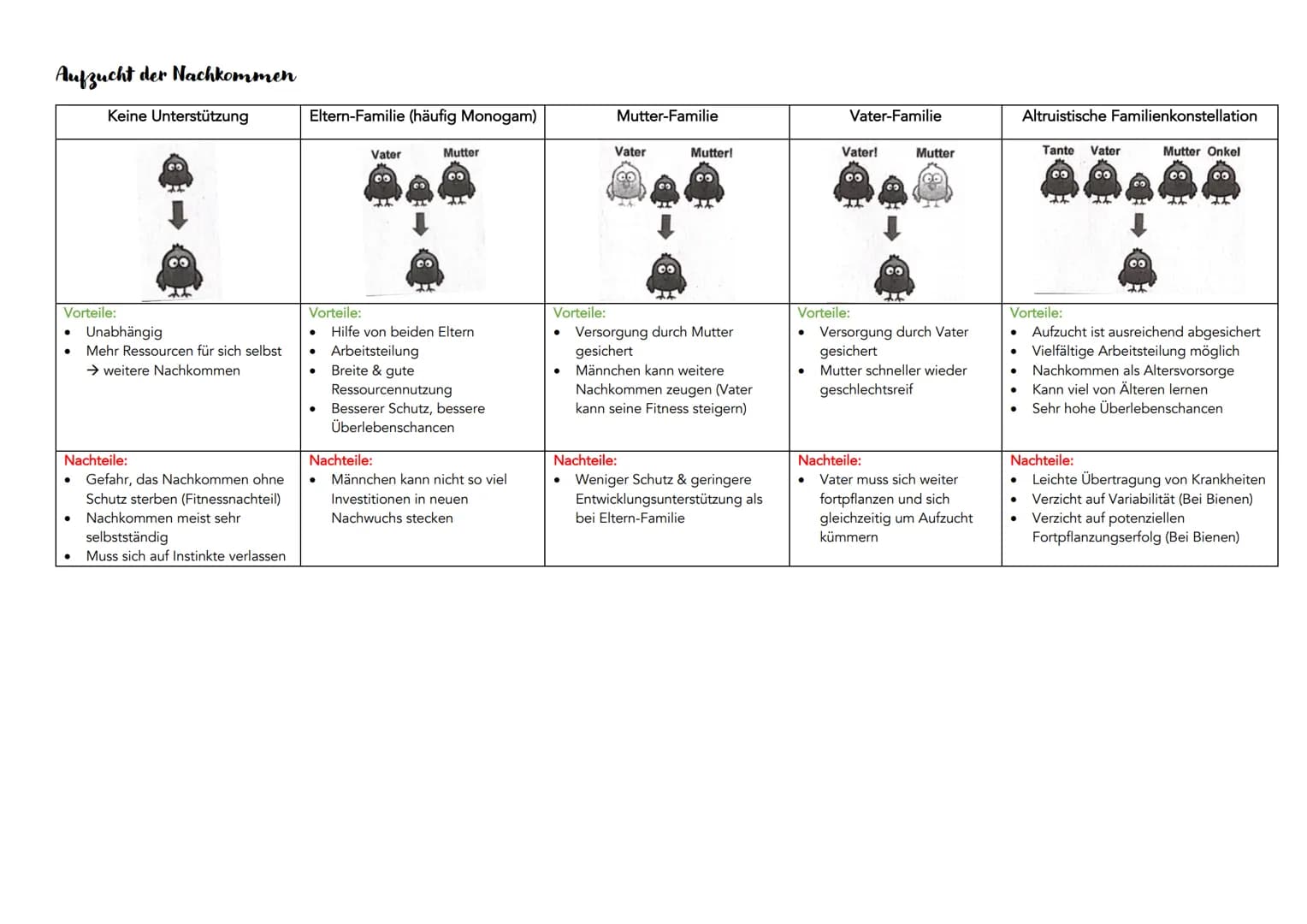 EVOLUTION
Definition: Über die Generation hinweg ablaufende Veränderung der erblichen Merkmale von Populationen.
Systematische Ordnung von L