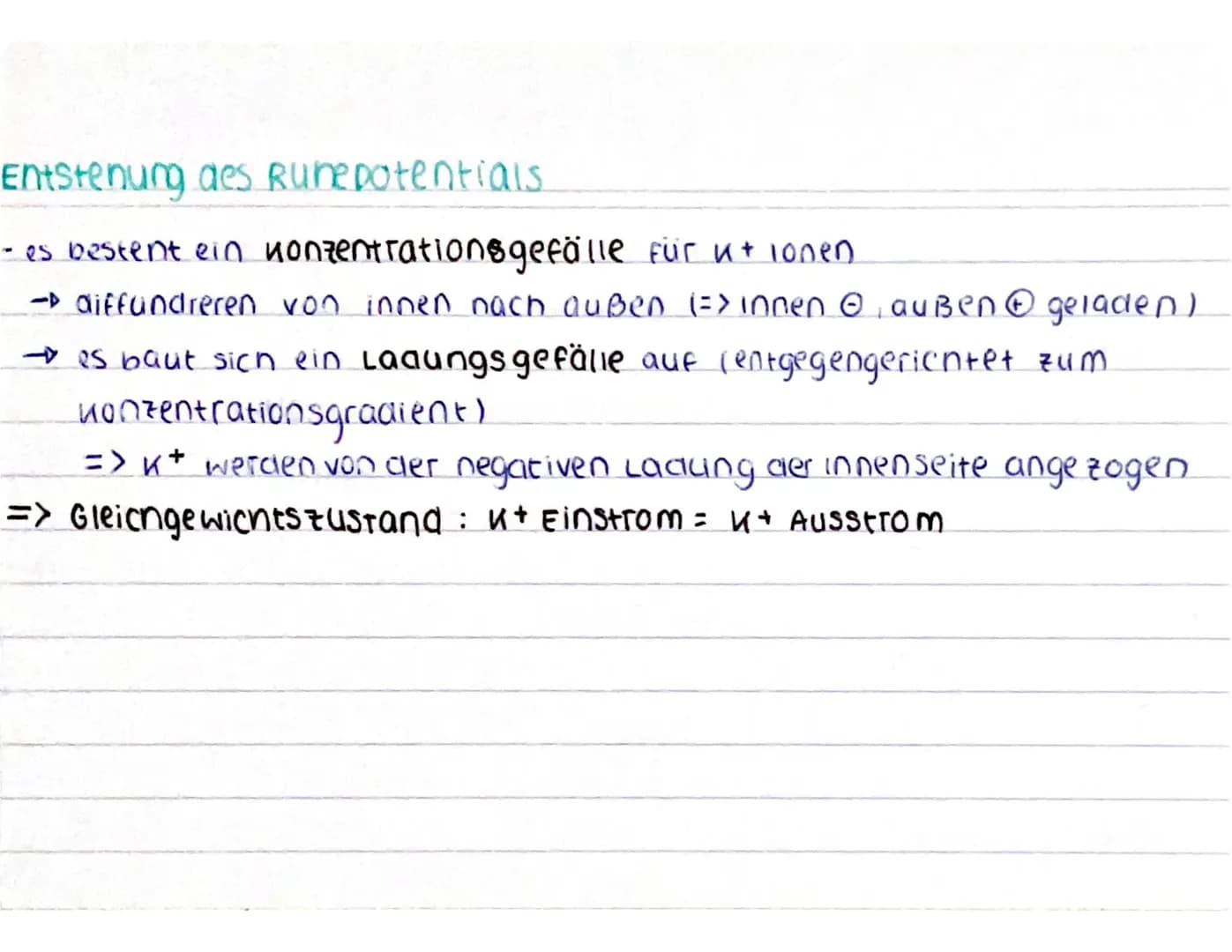 CCCCCCC
CCCCCCC
Aufbau des Neurons
spannungsab-
nängige calcium
Kanäle
ca²+
AO
Nat
AP
Dendrit: empfängt signale von Sinneszellen / anderen
N