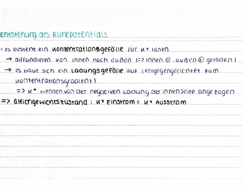CCCCCCC
CCCCCCC
Aufbau des Neurons
spannungsab-
nängige calcium
Kanäle
ca²+
AO
Nat
AP
Dendrit: empfängt signale von Sinneszellen / anderen
N