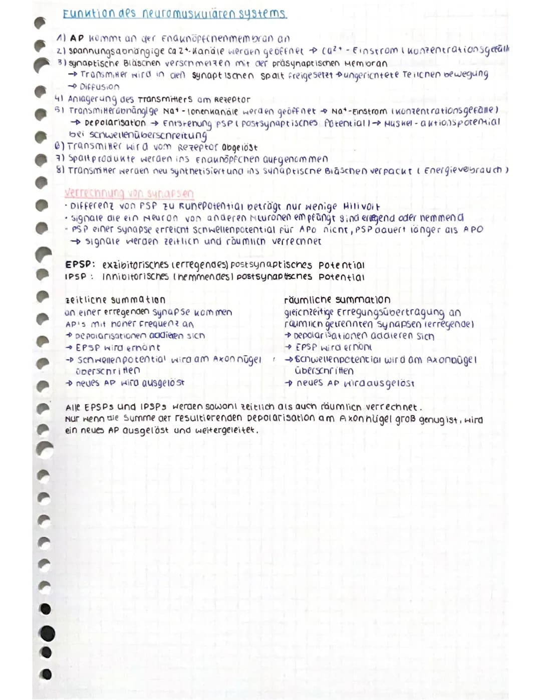 CCCCCCC
CCCCCCC
Aufbau des Neurons
spannungsab-
nängige calcium
Kanäle
ca²+
AO
Nat
AP
Dendrit: empfängt signale von Sinneszellen / anderen
N