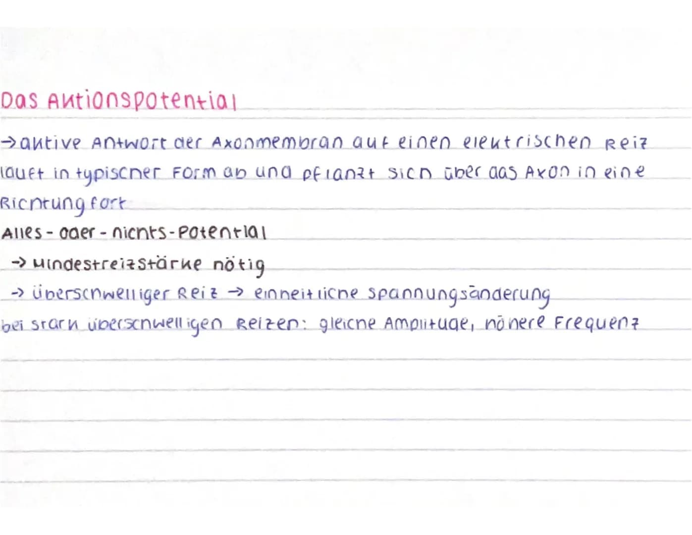 CCCCCCC
CCCCCCC
Aufbau des Neurons
spannungsab-
nängige calcium
Kanäle
ca²+
AO
Nat
AP
Dendrit: empfängt signale von Sinneszellen / anderen
N