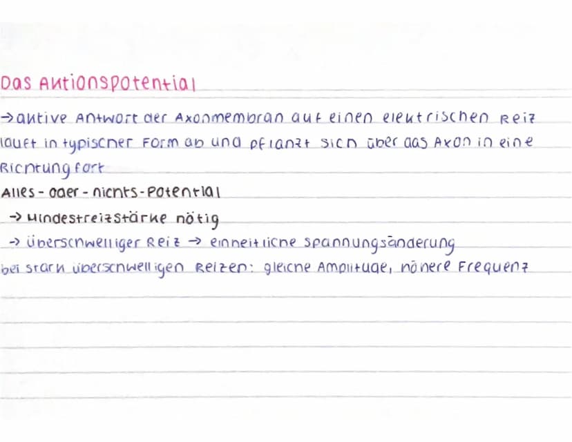 CCCCCCC
CCCCCCC
Aufbau des Neurons
spannungsab-
nängige calcium
Kanäle
ca²+
AO
Nat
AP
Dendrit: empfängt signale von Sinneszellen / anderen
N