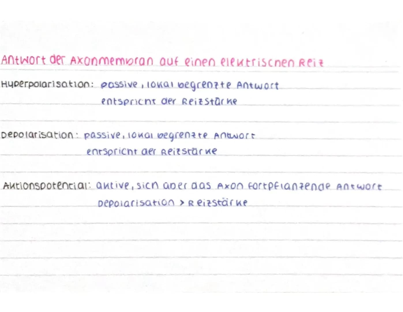 CCCCCCC
CCCCCCC
Aufbau des Neurons
spannungsab-
nängige calcium
Kanäle
ca²+
AO
Nat
AP
Dendrit: empfängt signale von Sinneszellen / anderen
N