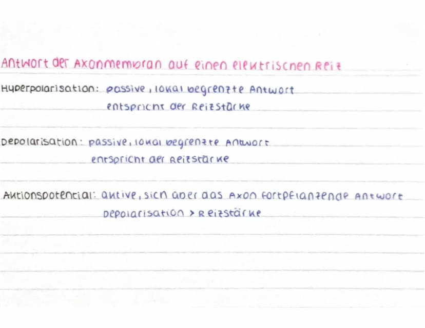 CCCCCCC
CCCCCCC
Aufbau des Neurons
spannungsab-
nängige calcium
Kanäle
ca²+
AO
Nat
AP
Dendrit: empfängt signale von Sinneszellen / anderen
N