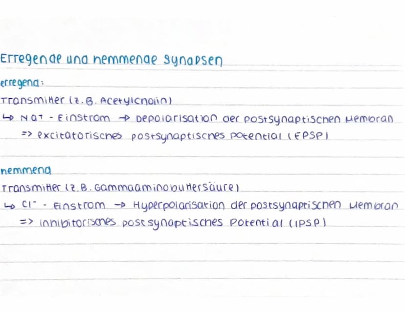 CCCCCCC
CCCCCCC
Aufbau des Neurons
spannungsab-
nängige calcium
Kanäle
ca²+
AO
Nat
AP
Dendrit: empfängt signale von Sinneszellen / anderen
N