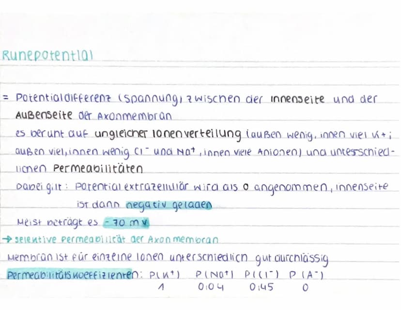 CCCCCCC
CCCCCCC
Aufbau des Neurons
spannungsab-
nängige calcium
Kanäle
ca²+
AO
Nat
AP
Dendrit: empfängt signale von Sinneszellen / anderen
N
