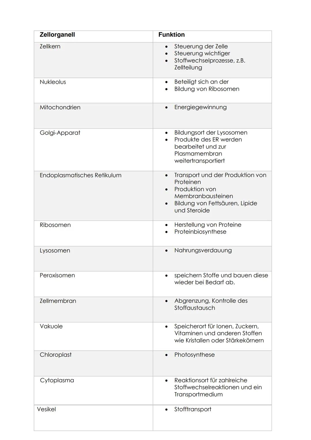 Zellorganell
Zellkern
Nukleolus
Mitochondrien
Golgi-Apparat
Endoplasmatisches Retikulum
Ribosomen
Lysosomen
Peroxisomen
Zellmembran
Vakuole
