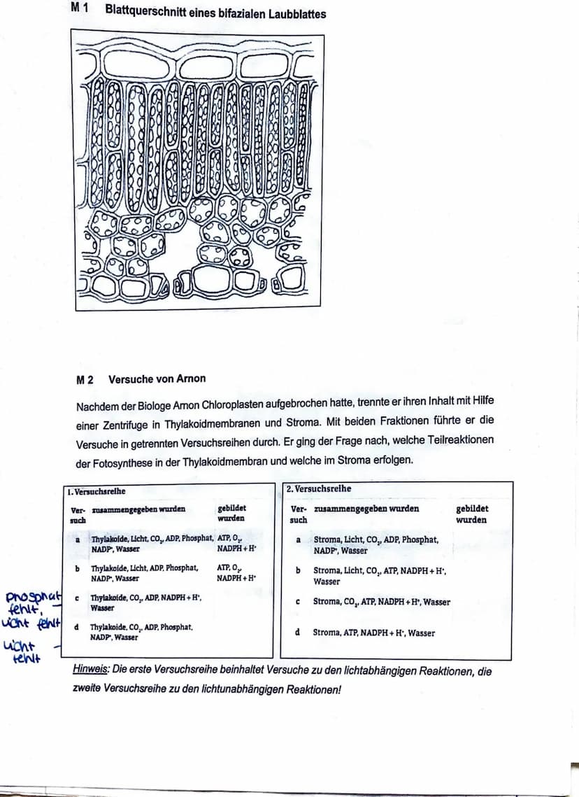Gesamtpunktzahl: 48/48 Note/Notenpunkto: sehr gut 115 P.
29.06.120
Aufgabenstellung
sr
Experimente zur Fotosynthese
Dem US-amerikanischen Bi