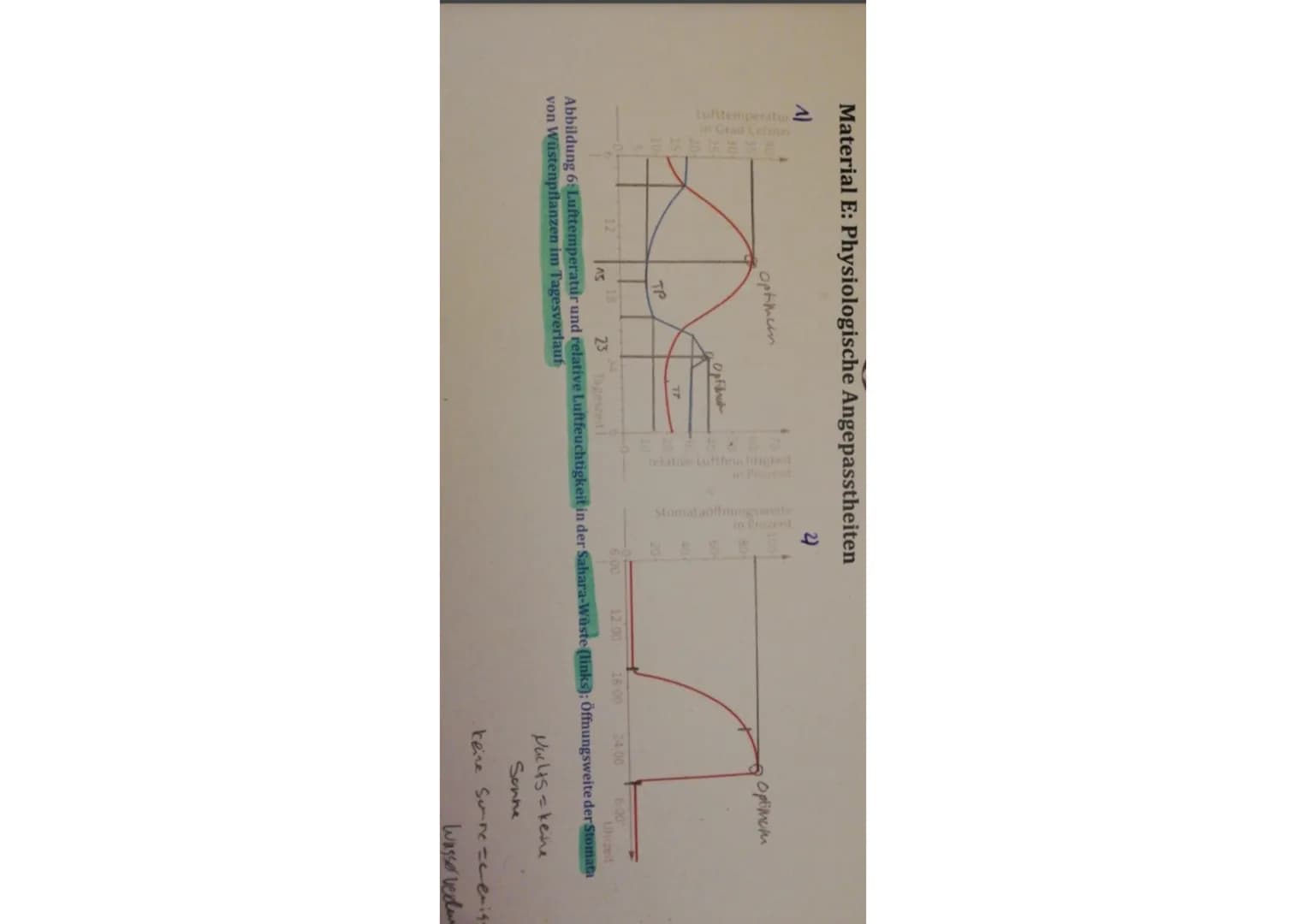 Material E: Physiologische Angepasstheiten
^)
optimum
T
AS
2)
6.00
18:00
24.00
Optimum
6:00
23
Abbildung 6: Lufttemperatur und relative Luft