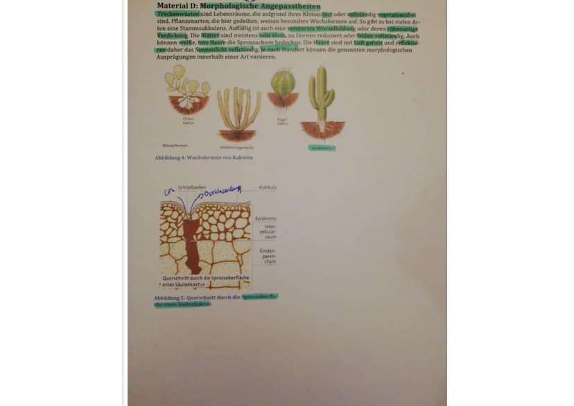 Material E: Physiologische Angepasstheiten
^)
optimum
T
AS
2)
6.00
18:00
24.00
Optimum
6:00
23
Abbildung 6: Lufttemperatur und relative Luft
