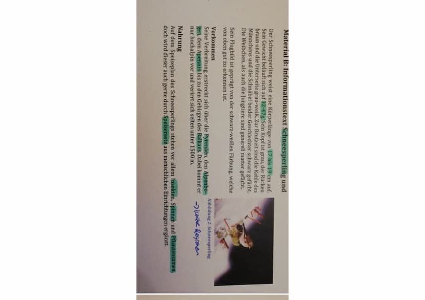 Material E: Physiologische Angepasstheiten
^)
optimum
T
AS
2)
6.00
18:00
24.00
Optimum
6:00
23
Abbildung 6: Lufttemperatur und relative Luft