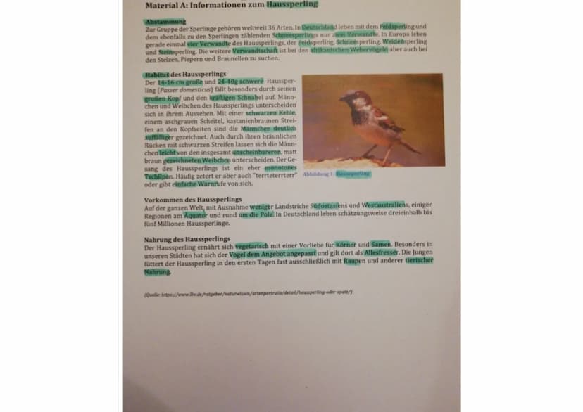Material E: Physiologische Angepasstheiten
^)
optimum
T
AS
2)
6.00
18:00
24.00
Optimum
6:00
23
Abbildung 6: Lufttemperatur und relative Luft