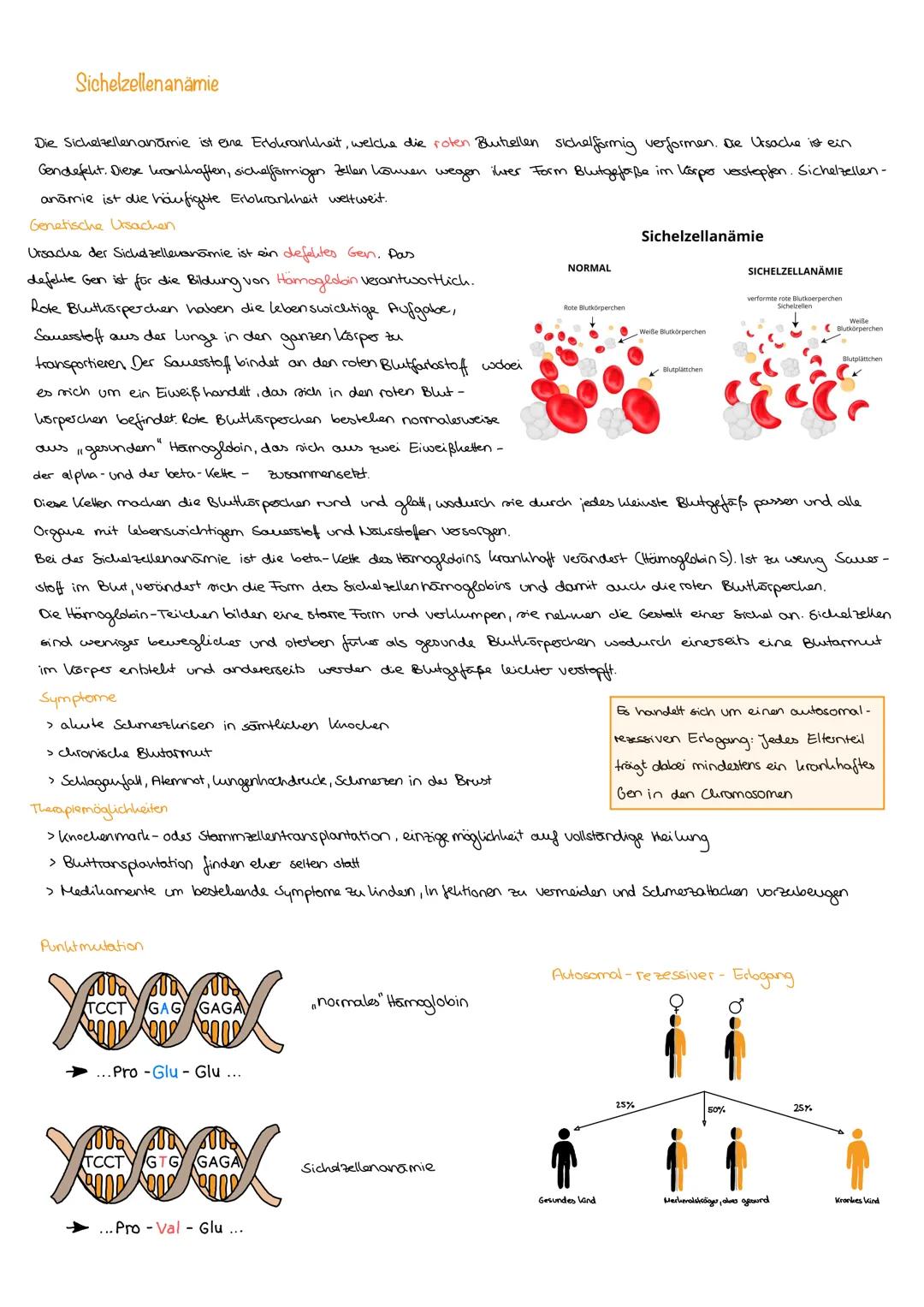 Sichelzellenanämie 