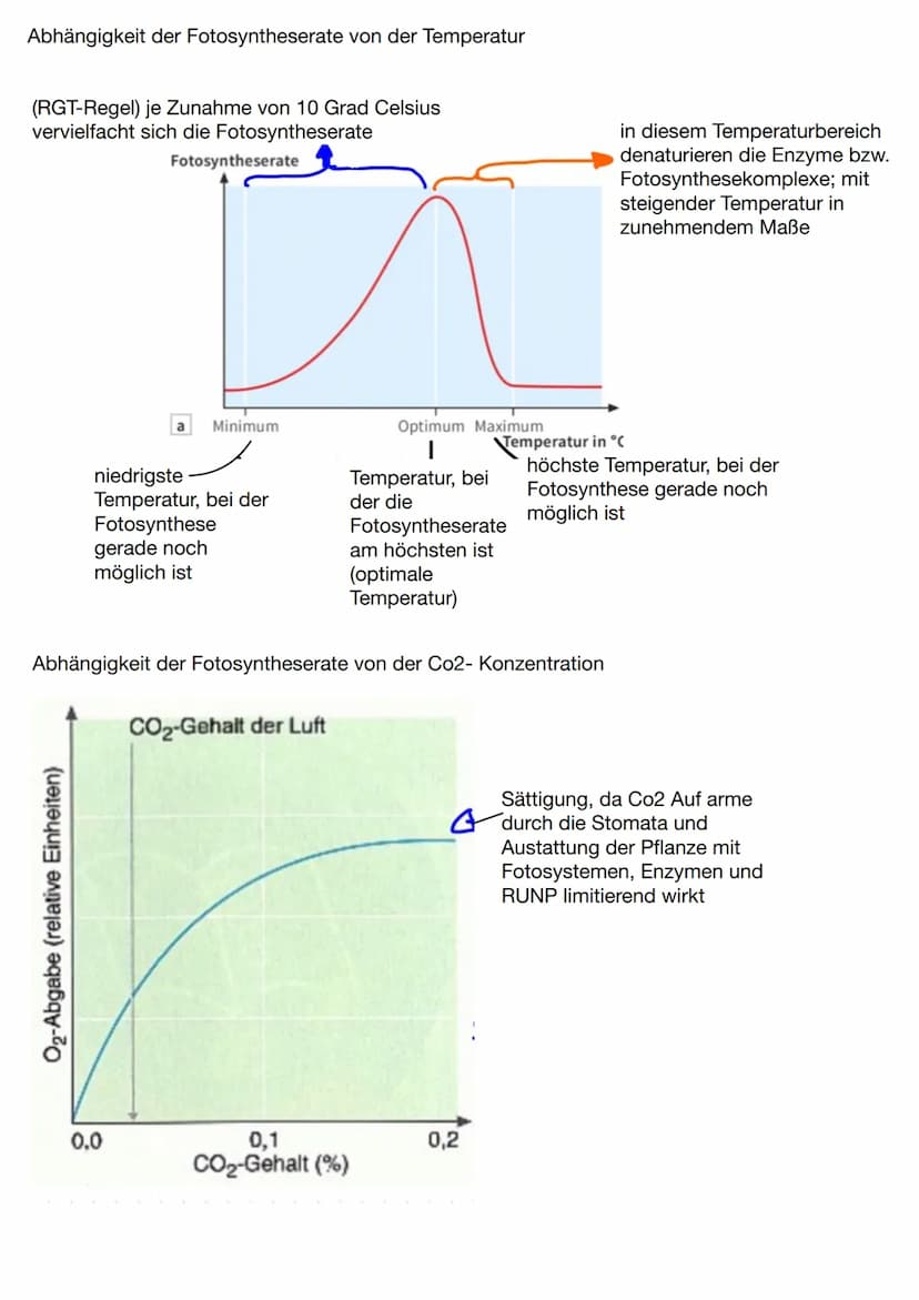 Abiotische und biotische Faktoren
abiotische Faktoren: Faktoren, die von
der unbelebten Umwelt ausgehen und die
Lebewesen in ihrer Umwelt be