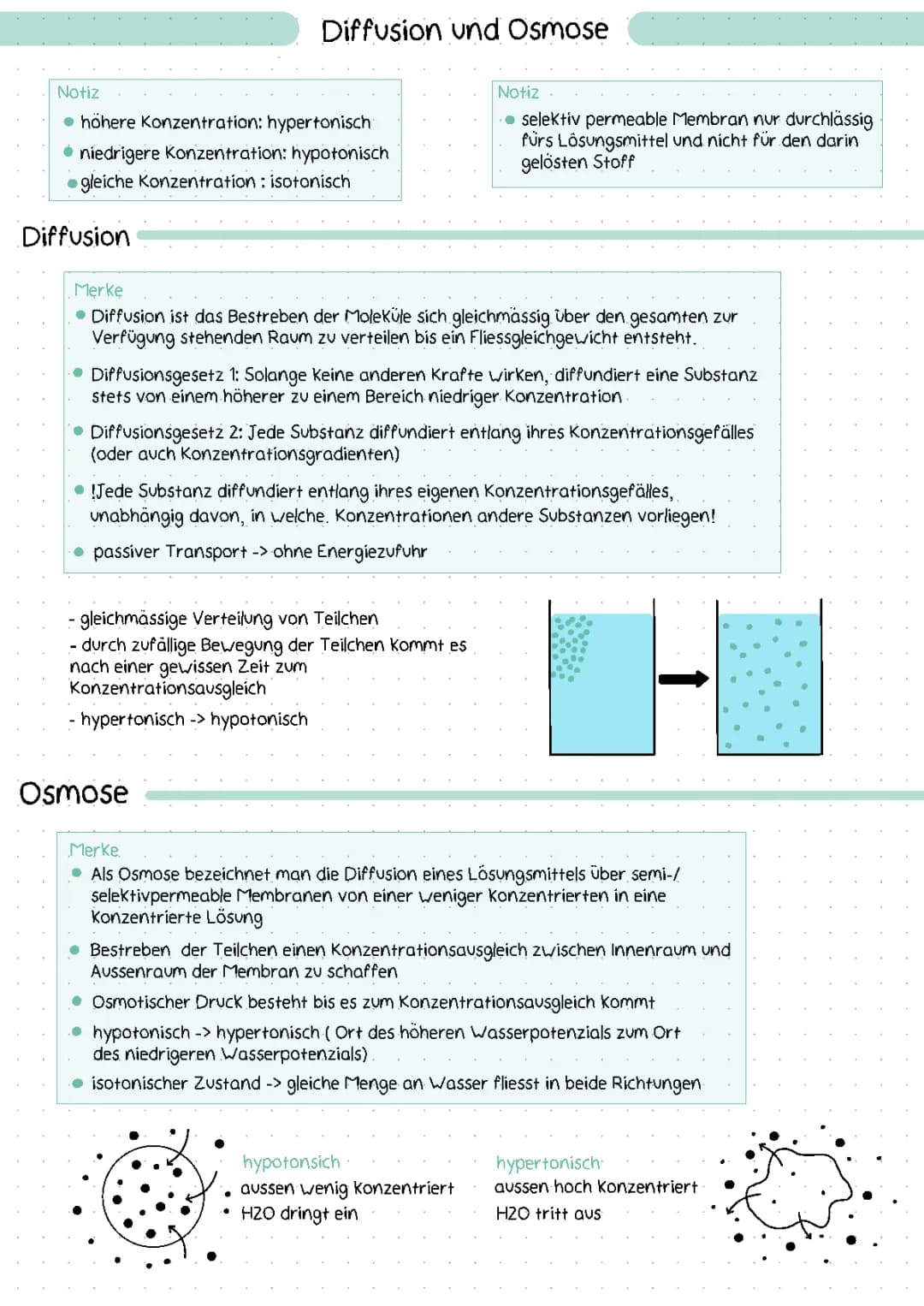 Diffusion und Osmose