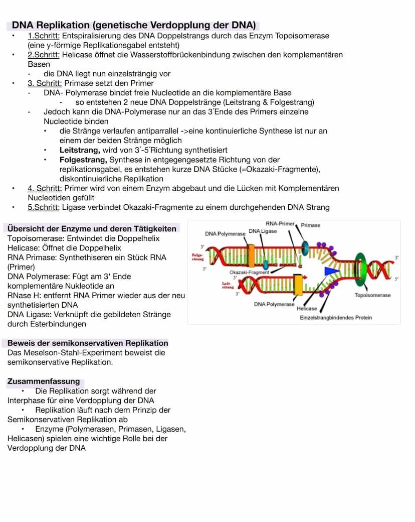 DNA/DNS
Bestandteile der DNA
●
Einem Phosphatsäurerest
Zucker( Desoxyribose), Einem Monosaccharid
mit 5 C-Atomen (Pentose)
Einer organische 