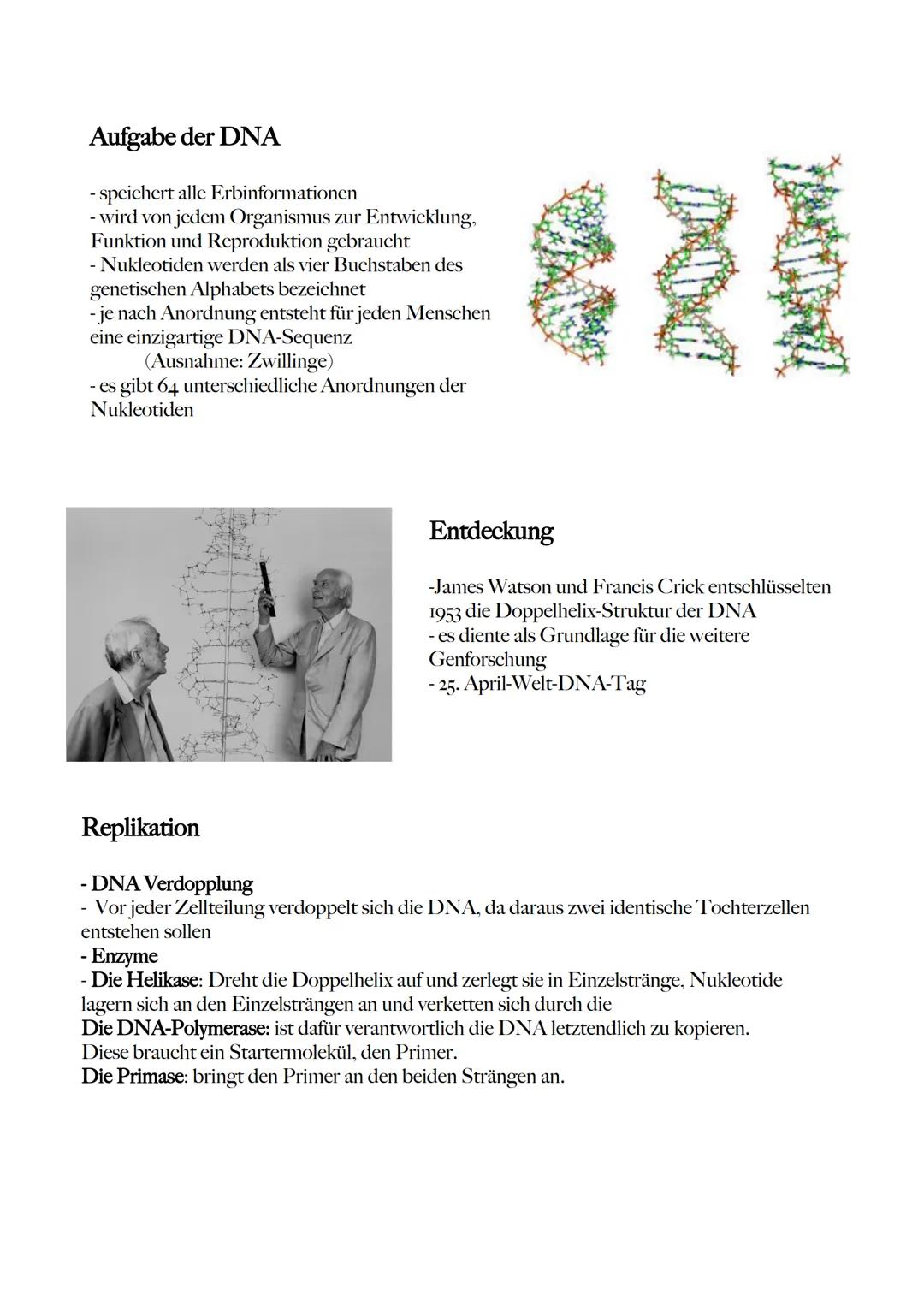 5' Ende
Aufbau der DNA
- Aussehen einer gedrehten Leiter (Doppelhelix)
- erhöht die Stabilität
- Aus Nukleotiden aufgebaut, die sich zu eine