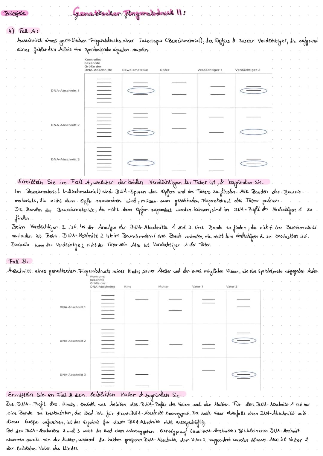Restriktionsenzyme als mole bullar biologische Werkzeuge:
1.) Erklären Sie, was die Schere", der Kleber " & "klebrige. Enden." (sticky ends)