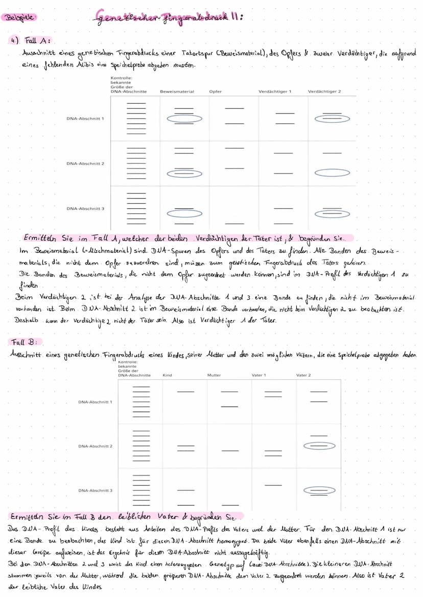 Restriktionsenzyme als mole bullar biologische Werkzeuge:
1.) Erklären Sie, was die Schere", der Kleber " & "klebrige. Enden." (sticky ends)
