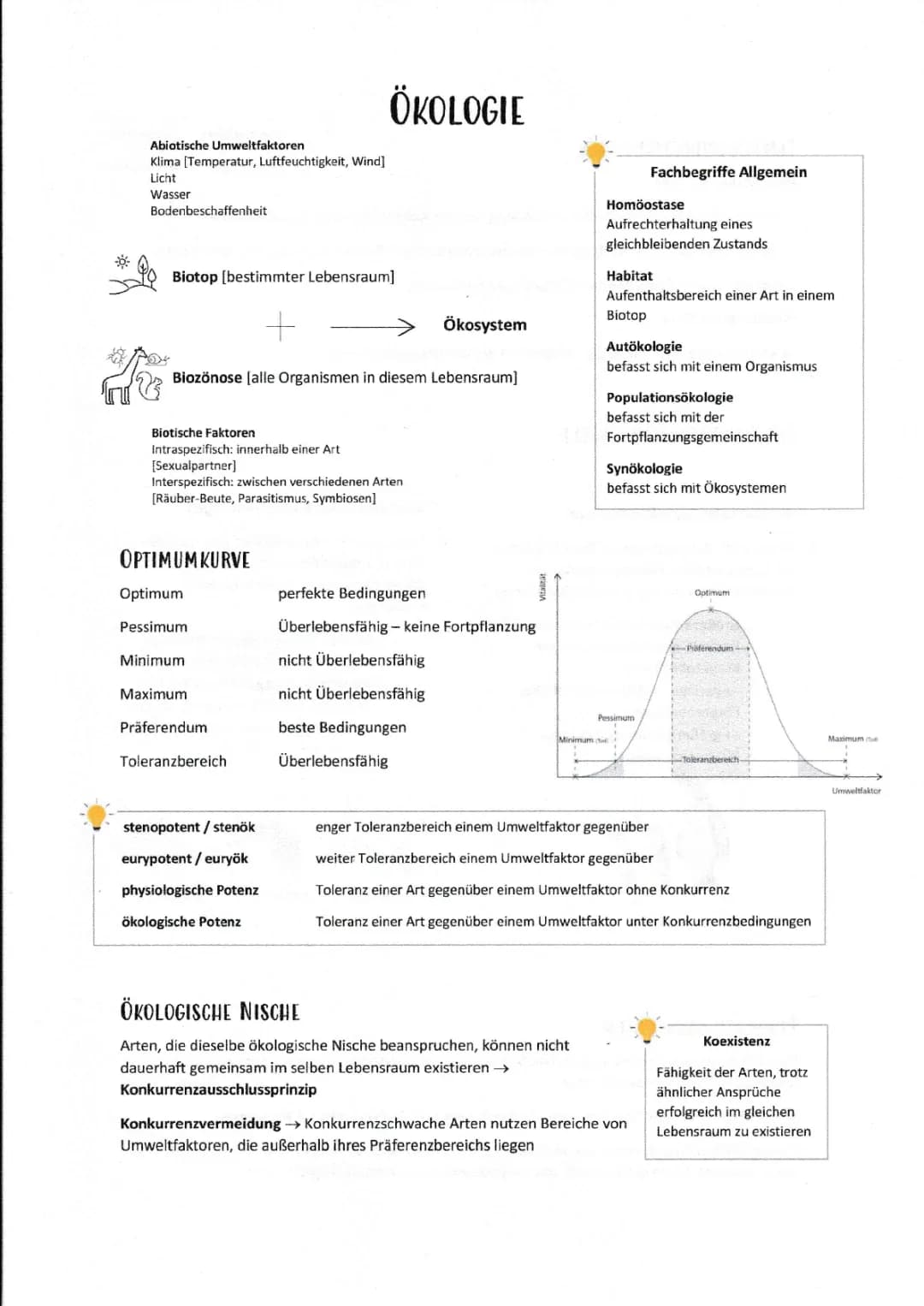 Lernzettel Ökologie 