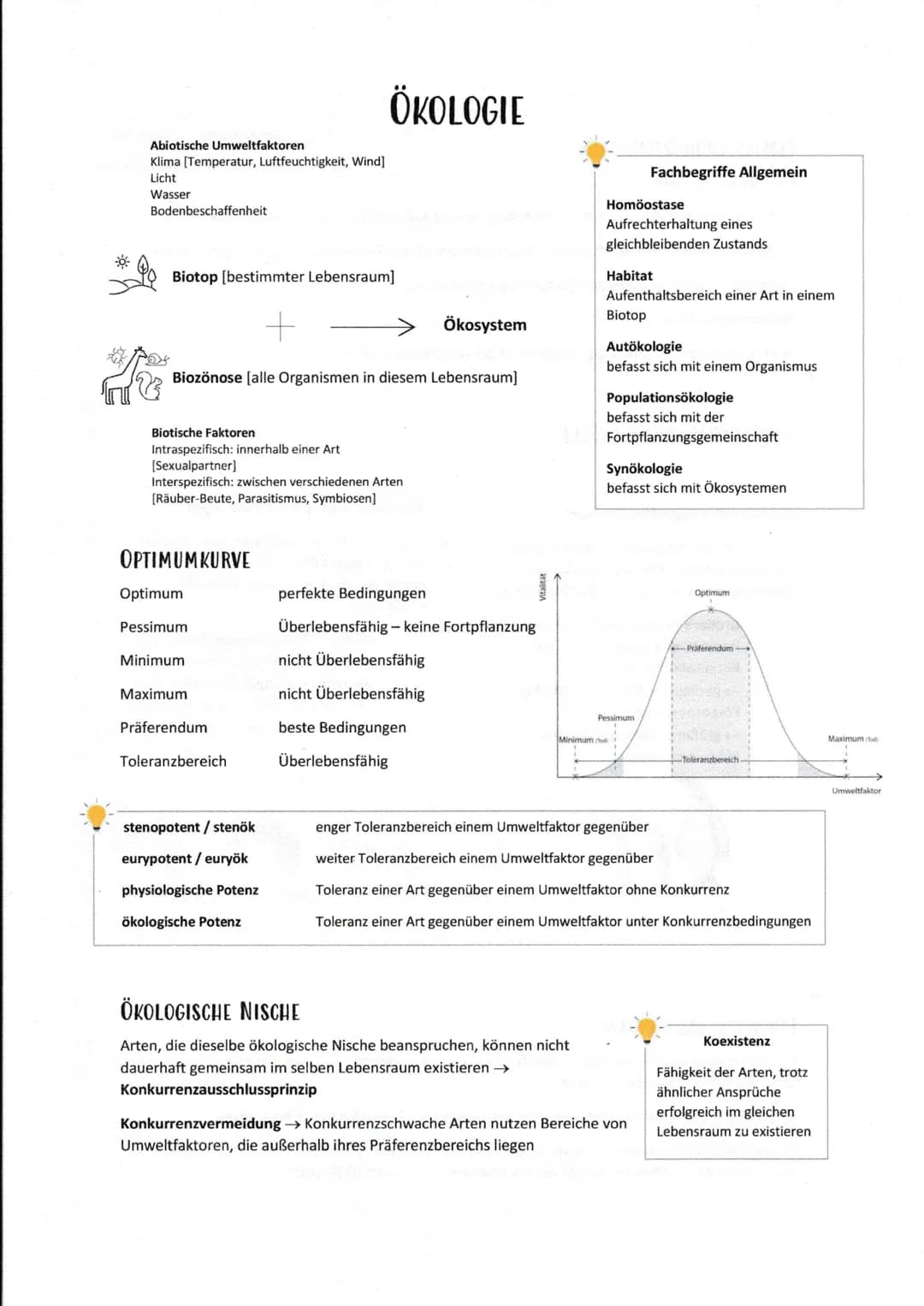 Abiotische Umweltfaktoren
Klima [Temperatur, Luftfeuchtigkeit, Wind]
Licht
Wasser
Bodenbeschaffenheit
Biotop [bestimmter Lebensraum]
Biotisc