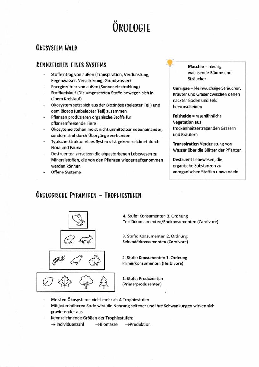 Abiotische Umweltfaktoren
Klima [Temperatur, Luftfeuchtigkeit, Wind]
Licht
Wasser
Bodenbeschaffenheit
Biotop [bestimmter Lebensraum]
Biotisc