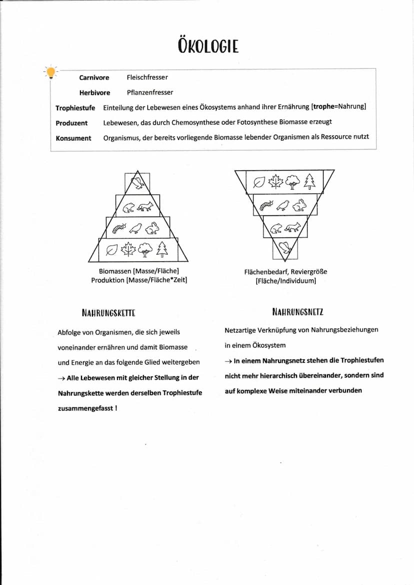 Abiotische Umweltfaktoren
Klima [Temperatur, Luftfeuchtigkeit, Wind]
Licht
Wasser
Bodenbeschaffenheit
Biotop [bestimmter Lebensraum]
Biotisc