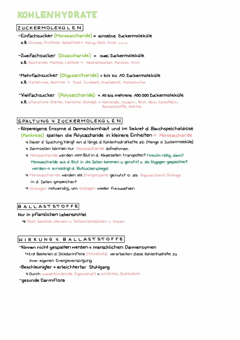 MAKO-UND MIKRONÄHRSTOFFE
NÄHRSTOFFE UNTERSCHEIDEN
- Menge die der Körper benötigt
Mikro- (kleine) u. Makronährstoffe, (große)
Vitamine + Min